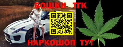 молекула духа Пугачёв