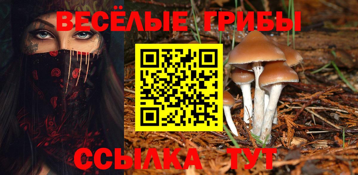 где можно купить наркотик  Псилоцибиновые грибы Psilocybe  Псилоцибиновые грибы Magic Shrooms  Вход с VPN  Шебекино 