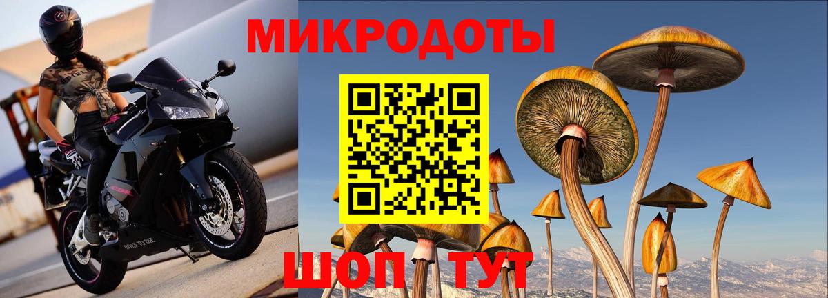 Псилоцибиновые грибы GOLDEN TEACHER Шебекино