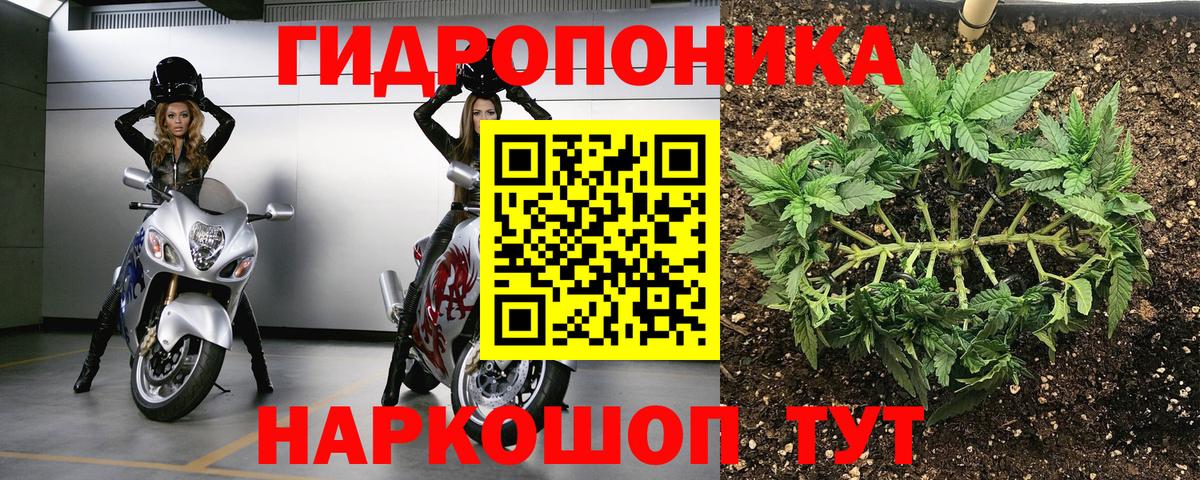 Конопля White Widow Шебекино